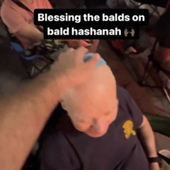 Bald Hashanah | Pasha Toub