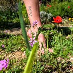 kOüSs ( The Naked One Selection ) ✨