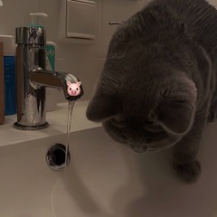 list music remix by hvu༉