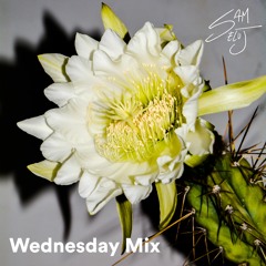 Wednesday Mix - 211103