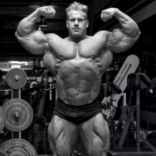Too late to be sorry X Jay cutler