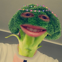 Aus dem Faschingszirkus