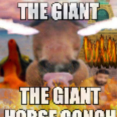 The Giant Hardbass Conch