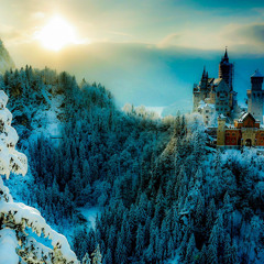 Snow falls like a funeral for the dead morning