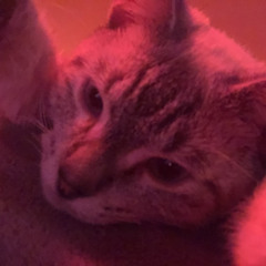 Charlotte Dos Santos - Cleo (Slowwed)