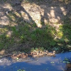 04.30.20 dean blunt 3 {100bpm}