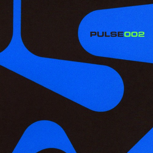 NICKY SUMMERS + FATZ OFFICIAL • PULSE002