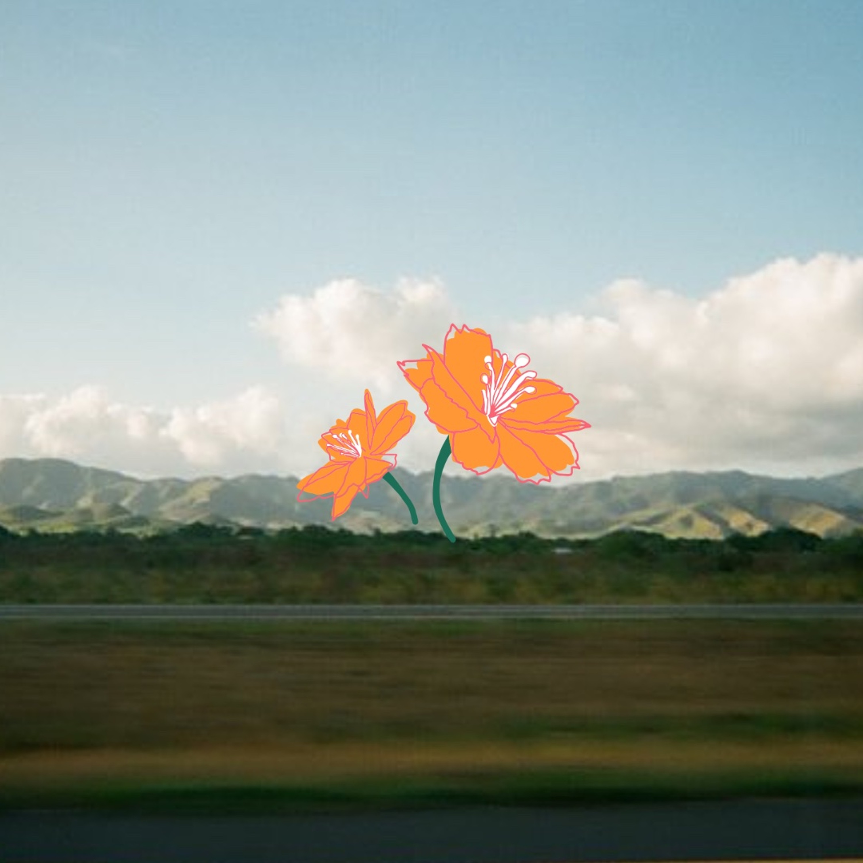 la flor library v2 episode artwork