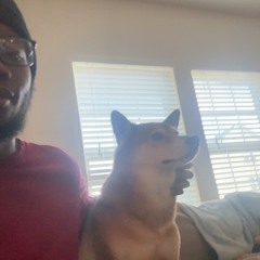 south prod blingblingboi