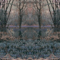 Membrane (PROD.dwyerisgod)