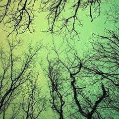 Fran Tournoud @ Mvdeo Live Session