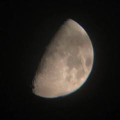 Somnolentia