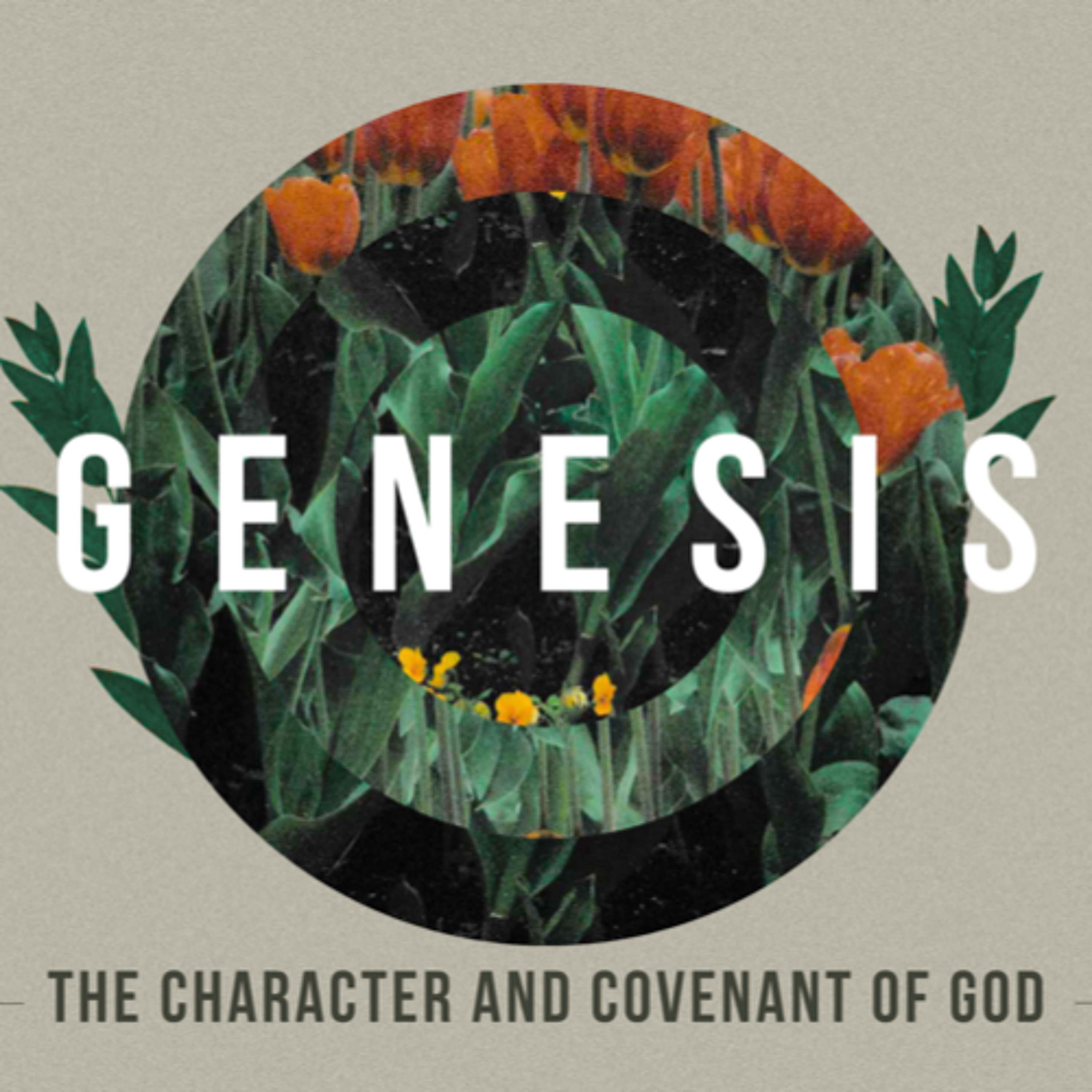 Genesis 9:18-29: Déjà Vu episode artwork