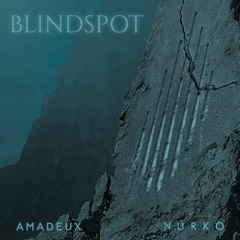 Nurko - Blindspot (Amadeux Remix) ft. Devon Baldwin