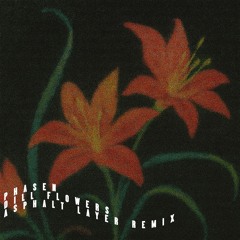 MOLE316 Phasen - Dill Flowers