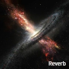 Reverb 14