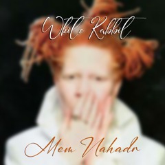 White Rabbit (feat. Curtis T. Wright & Kenneth Wright)