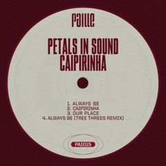PREMIERE | Petals In Sound - Always Be [Paille Records] 2024