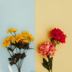 ;