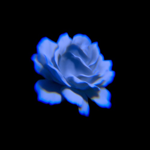 lost luv 2017