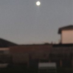 what do I name this¿?