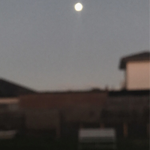 what do I name this¿?