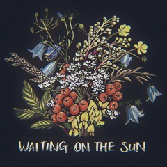Waiting On The Sun