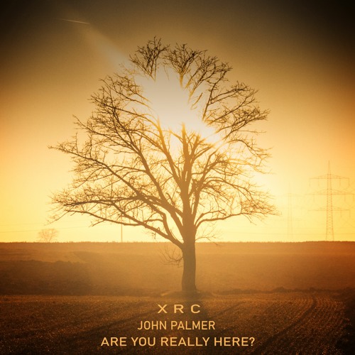 Are You Really Here - with John Palmer (free download)