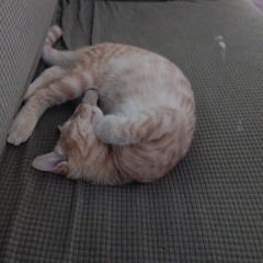 Halloween jazz flow.