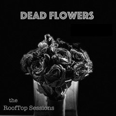 Dead Flowers (Rolling Stones Cover)
