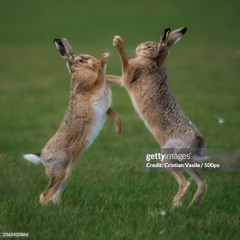 @psychemodel - its psyche not sike (okenvy)