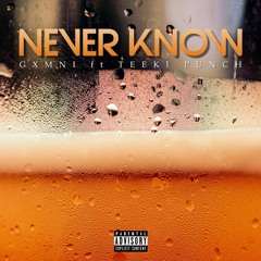 Never Know Ft Teeki Punch