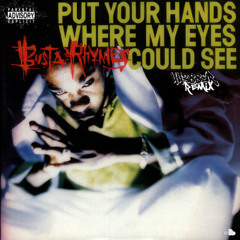 Busta Rhymes - Put Your Hands Where My Eyes Could See (44388er Remix)
