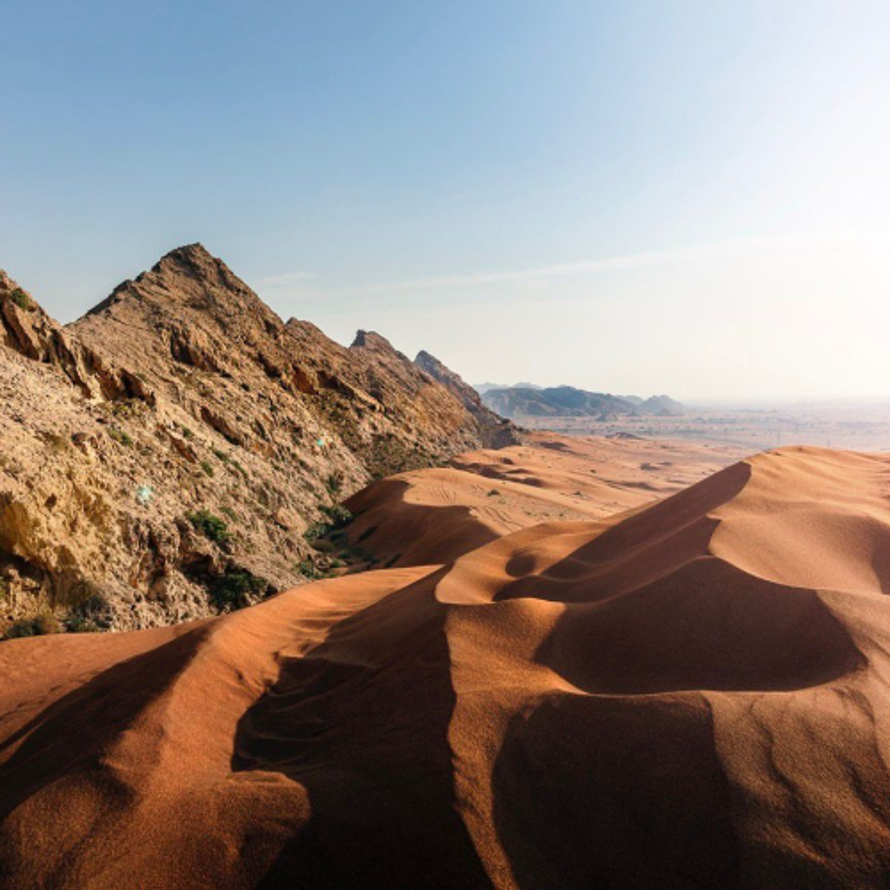 Faya Paleolandscape UNESCO World Heritage Site Listing (14/07/25) episode artwork