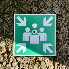 Vinyl Pandur 01 @Edith