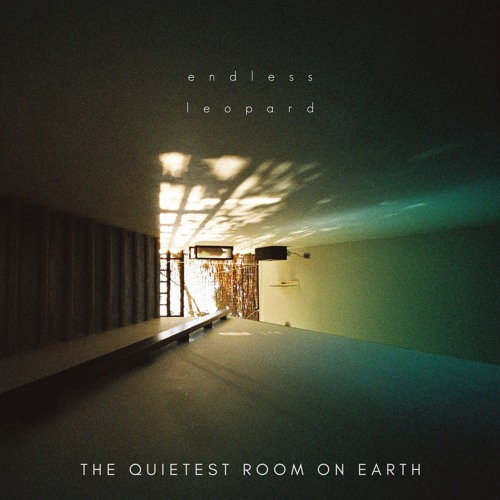 The Quietest Room on Earth