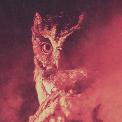 The Tyrell Collection