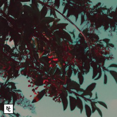 Sons Cassettes - Nosta Lane
