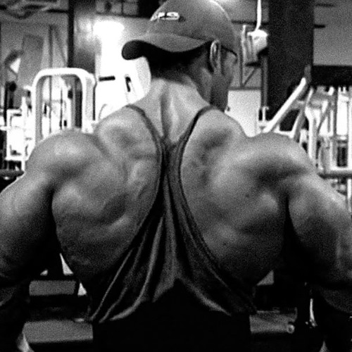 I might break x Tom Platz x Kevin levrone