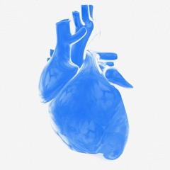 who do you think you are (prod. himera)