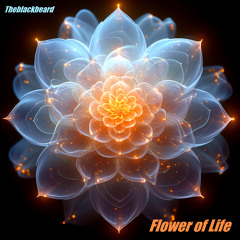 Flower of Life