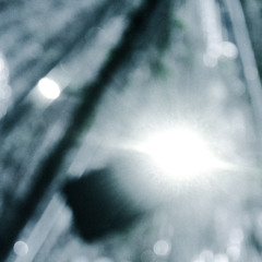 motion on x100