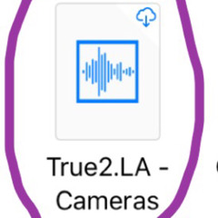 True2.LA - Cameras