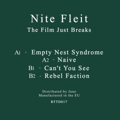 Premiere: Nite Fleit 'Empty Nest Syndrome'