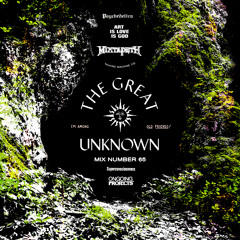 THE GREAT UNKNOWN