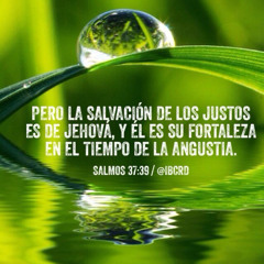 Himno 249-Solo Cristo es la realidad 🌺🌹We have Seen Christ is reality-Hymn 1178 🌷🎻🎶