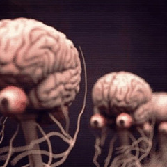 scaryscaryscaryscary