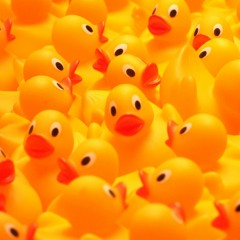 duckie