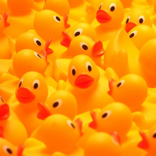 duckie