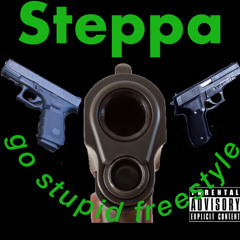 steppa go stupid freestyle